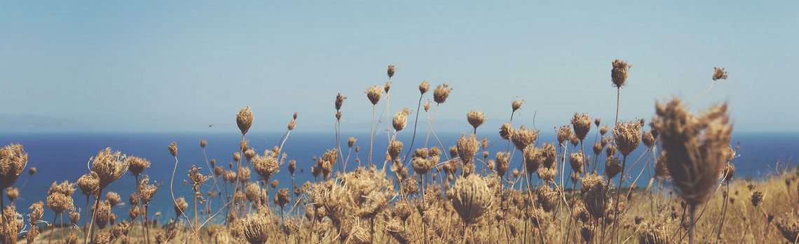 【破解补丁】免费的在线DDOS平台攻击